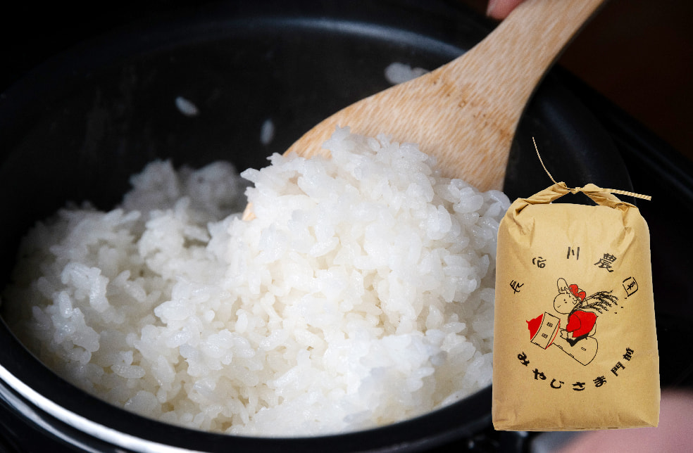 令和5年度米 新潟産コシヒカリ