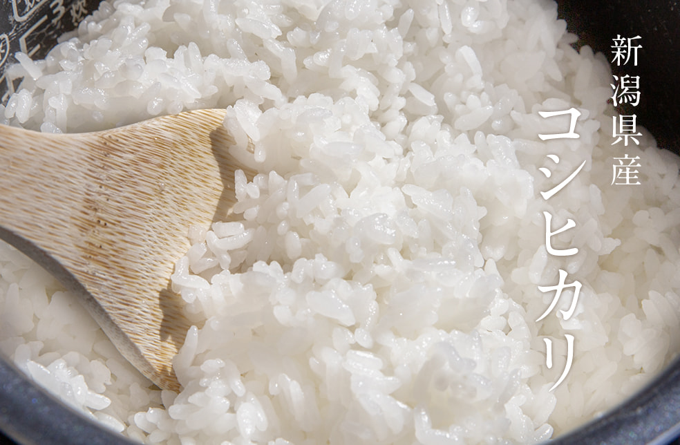 令和6年度米 新潟県産コシヒカリ