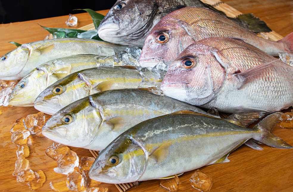 寺泊産 真鯛の鮮魚セット