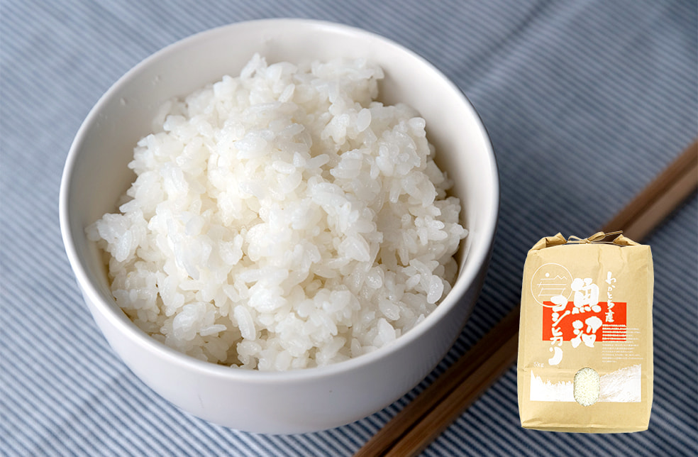 令和6年度米 魚沼産コシヒカリ(棚田栽培・特別栽培)