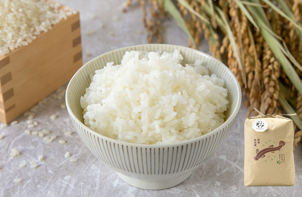 令和6年度米 新潟県産コシヒカリ