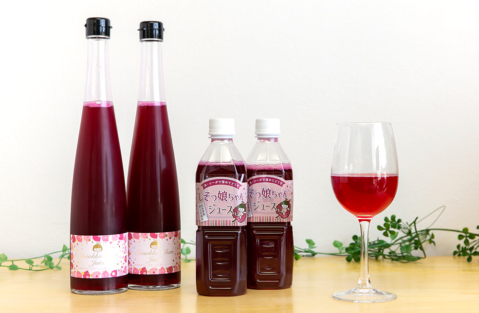 新潟直送計画 しそシロップ しそっ娘ちゃんジュース むらさきfarm 新潟直送計画 しそシロップ しそっ娘ちゃんジュース むらさきfarm