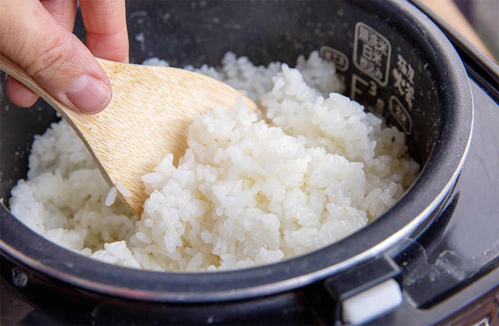 予約注文:令和7年度米 佐渡産 自然栽培米ササニシキ