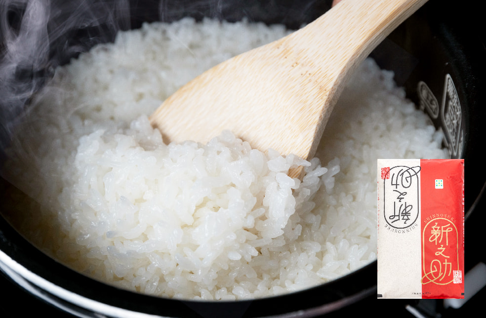 令和6年度米 新潟産 新之助