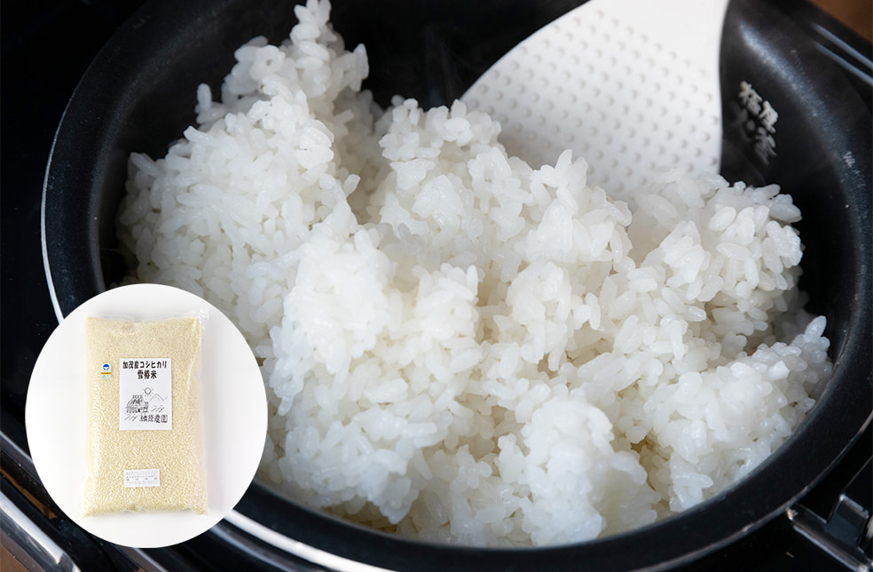 令和3年度米 新潟産コシヒカリ「雪椿米」（特別栽培・従来品種）