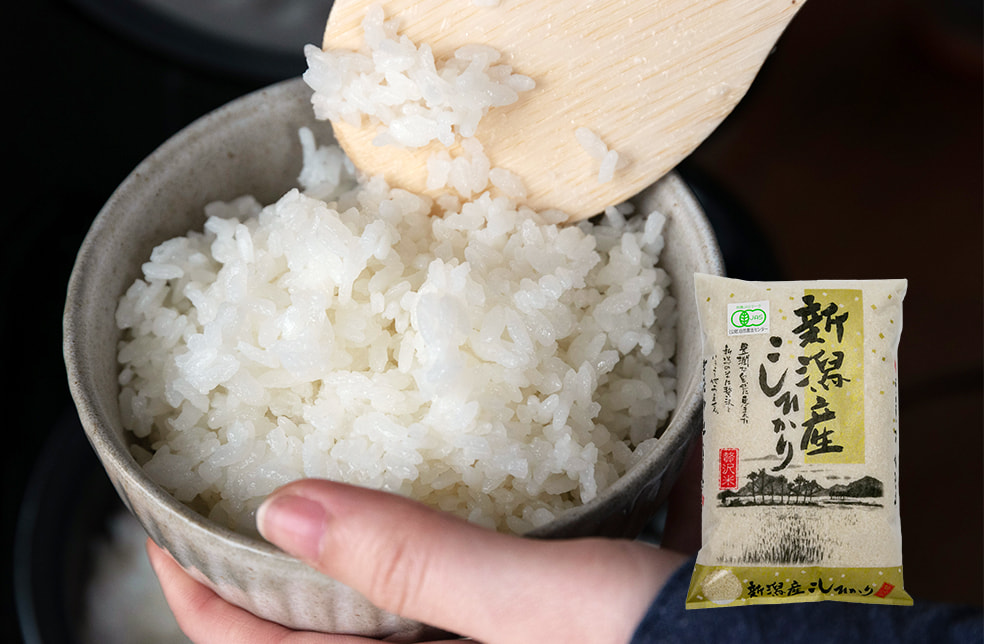 令和6年度米 新潟産コシヒカリ「縄文狐島米」(JAS認証有機栽培)