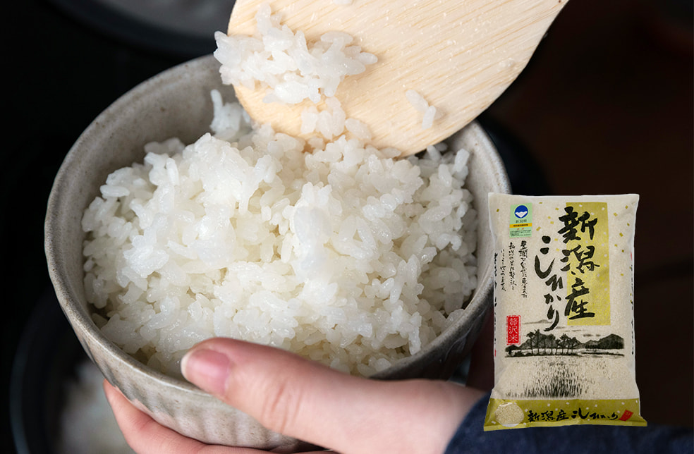 令和6年度米 新潟産コシヒカリ「縄文狐島米」(特別栽培)