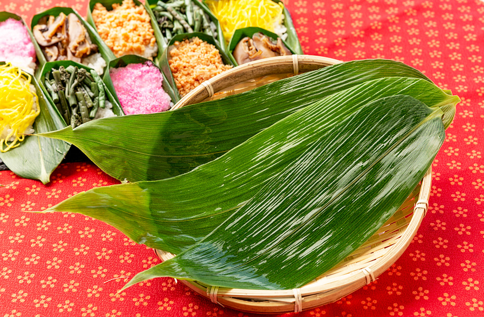 新潟直送計画 下田産 笹の葉 企画販売 難波 新潟直送計画 下田産 笹の葉 企画販売 難波