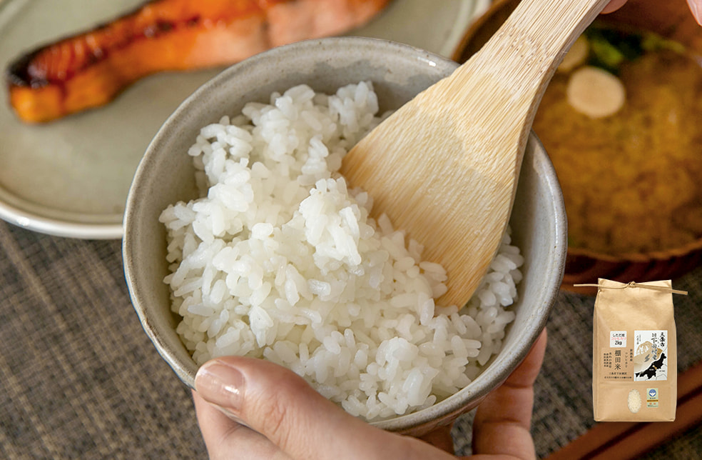 令和7年度米 新潟県産コシヒカリ(棚田栽培・特別栽培米)