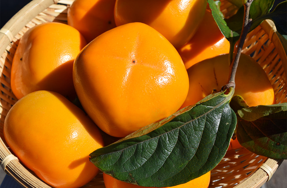 予約注文:新潟県産 八珍柿