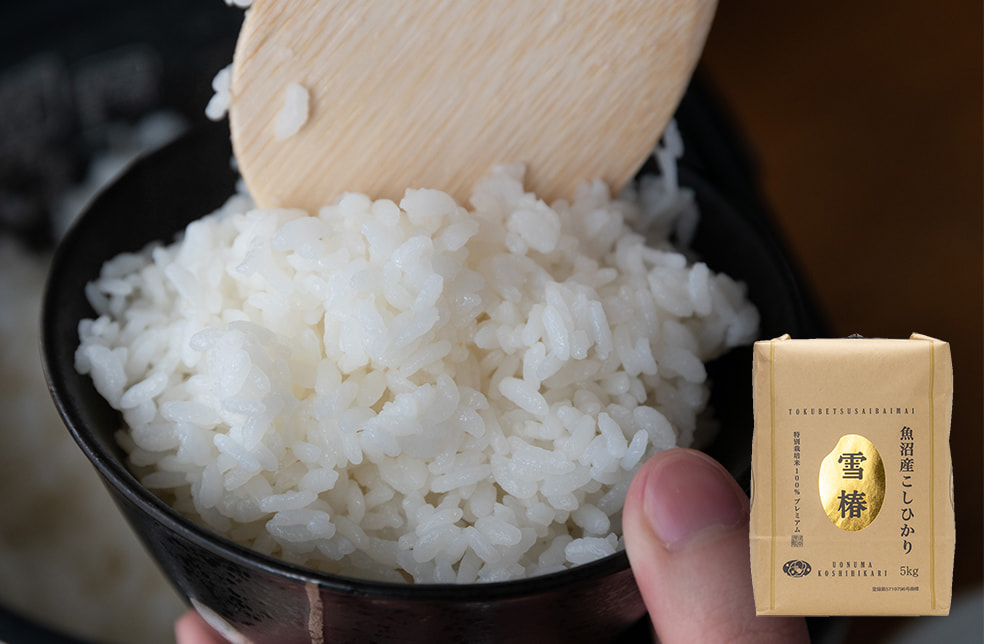 令和3年度米 魚沼産コシヒカリ「雪椿」（特別栽培米）