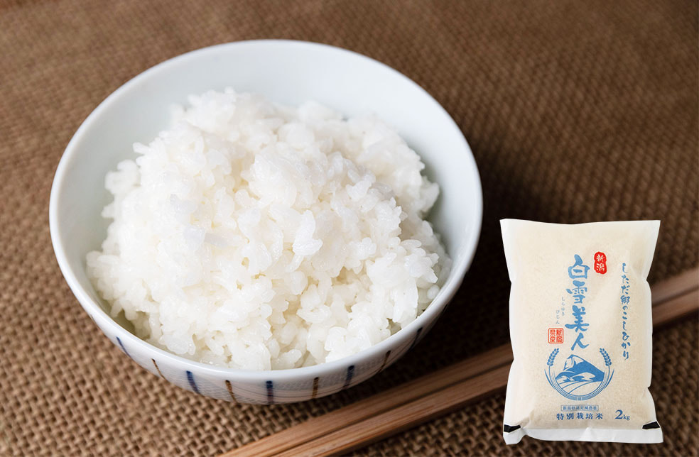 令和6年度米 下田産コシヒカリ「白雪美人」(特別栽培・従来品種)
