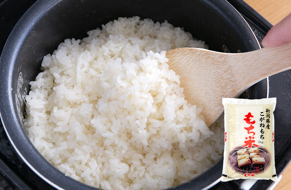 令和4年度米 新潟県産 こがねもち(もち米)