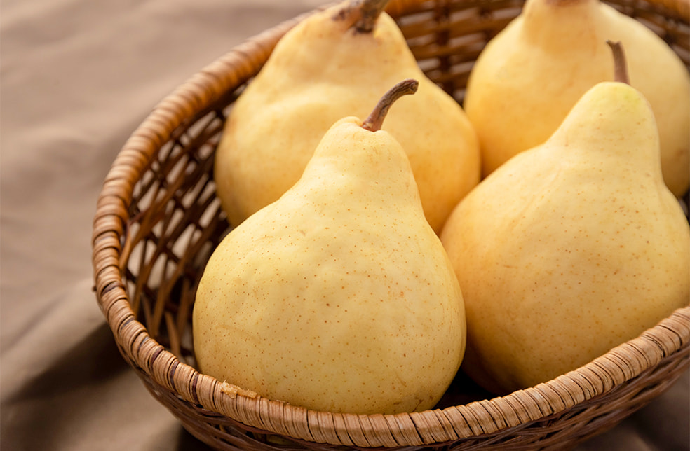 ル・レクチェ(贈答用・家庭用)