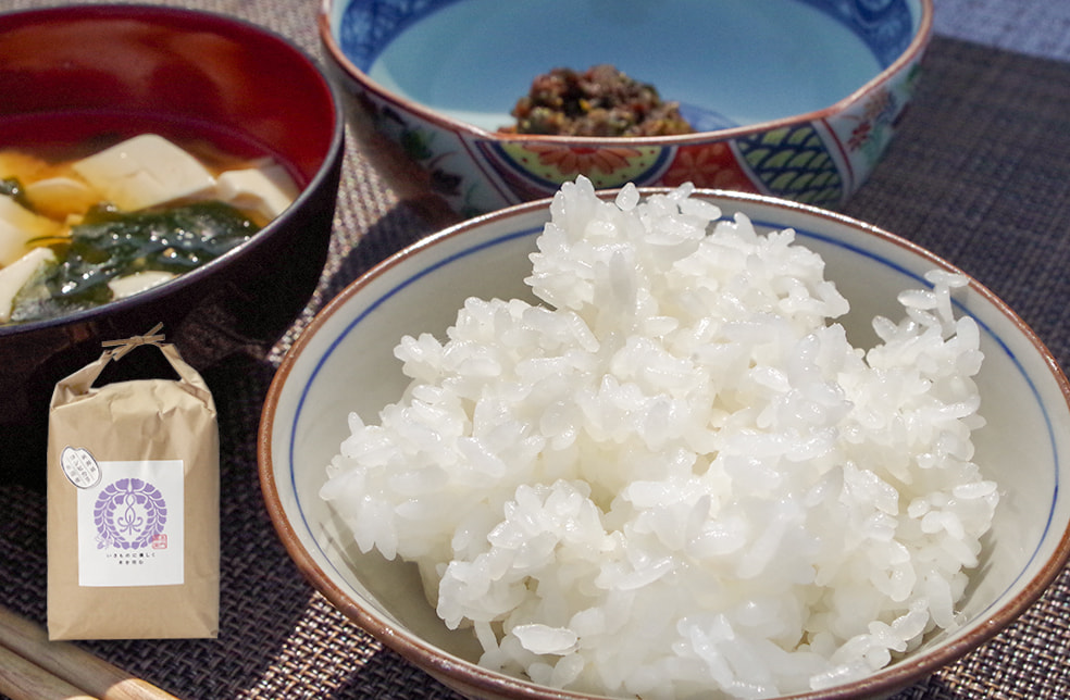 令和6年度米 魚沼産コシヒカリ