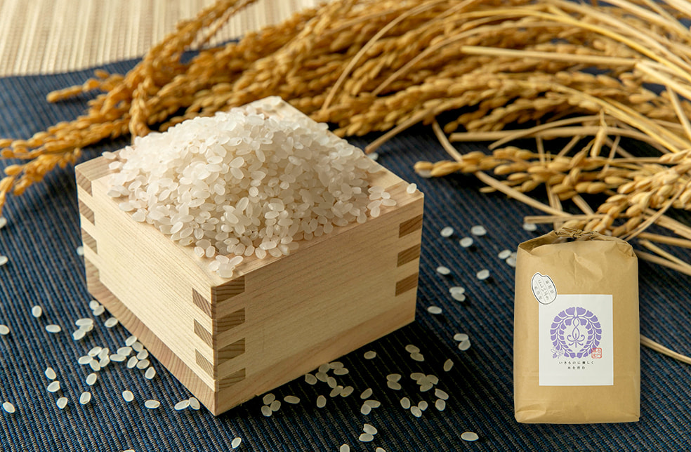 令和6年度米 魚沼産こしいぶき