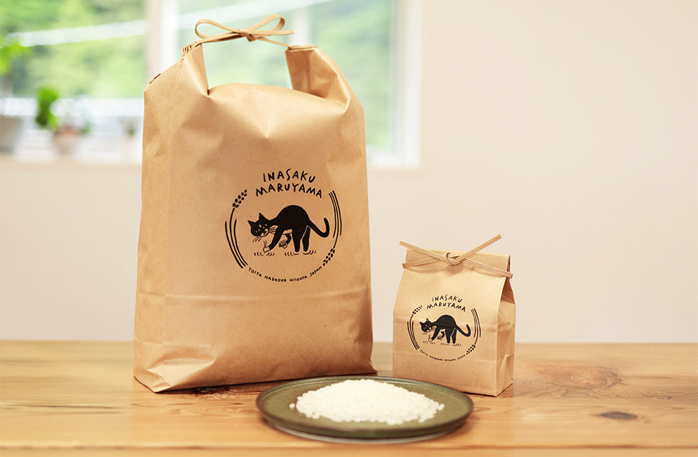 予約注文：令和4年度米 新潟県産コシヒカリ（特別栽培米・従来品種）