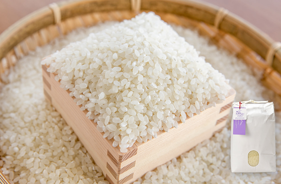 予約注文:令和7年度米 魚沼産にじのきらめき「苗場プリンセス プレミアム」