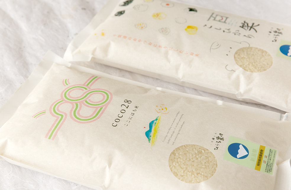 令和6年度米 コシヒカリとブレンド米の詰め合わせ(特別栽培米)