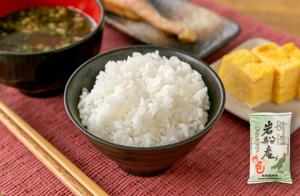 令和6年度米 岩船産コシヒカリ(特別栽培米)