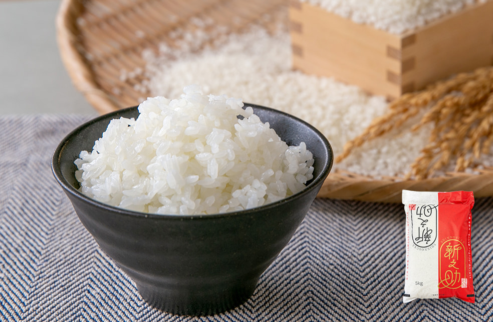 令和7年度米 新潟県産 新之助