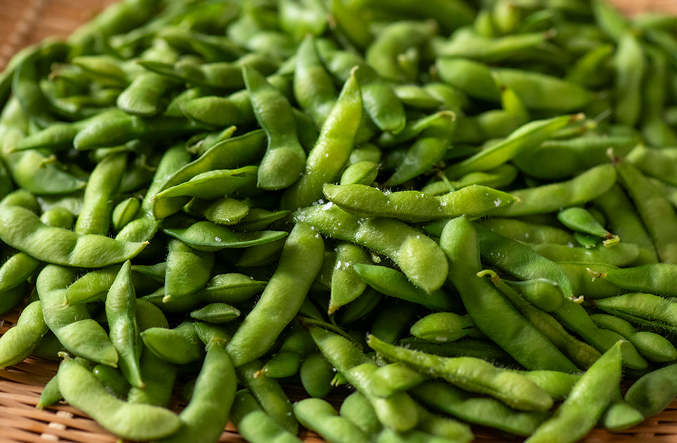 新潟県産 枝豆(自然栽培)