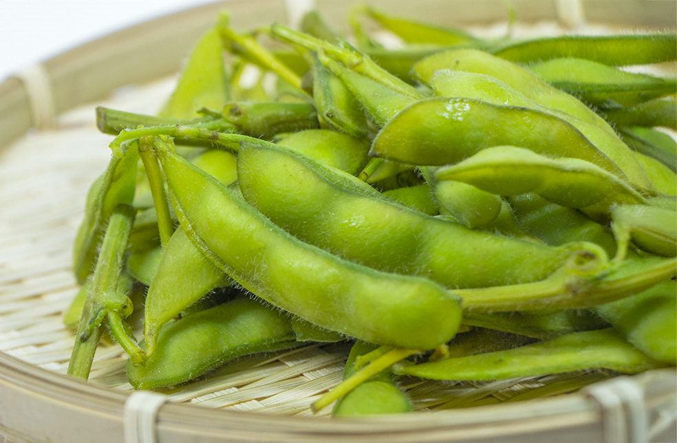 新潟県産 枝豆