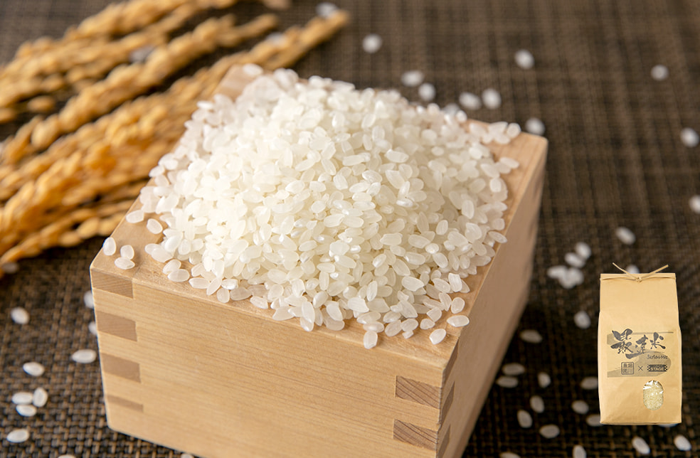 予約注文:令和7年度米 新潟県産コシヒカリ「最速米」