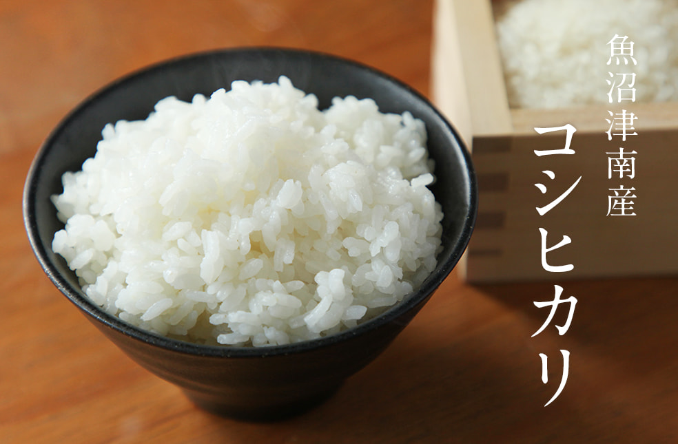 予約注文:令和7年度米 魚沼津南産コシヒカリ