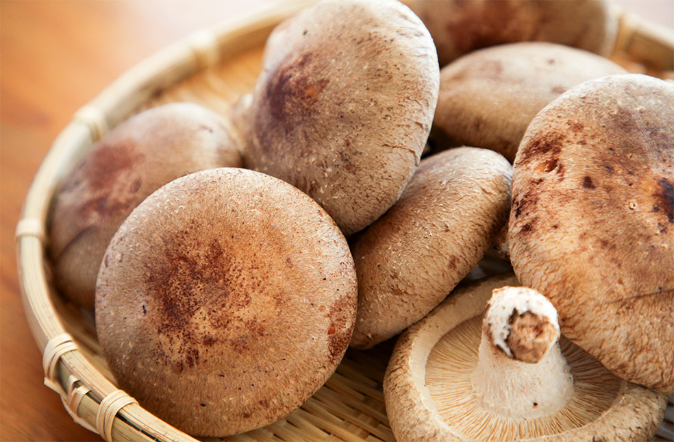 新潟直送計画 新潟県産 あらかわ生しいたけ 株式会社shk 新潟直送計画 新潟県産 あらかわ生しいたけ 株式会社shk