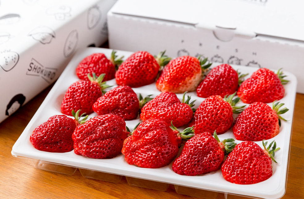 土耕栽培 越後姫