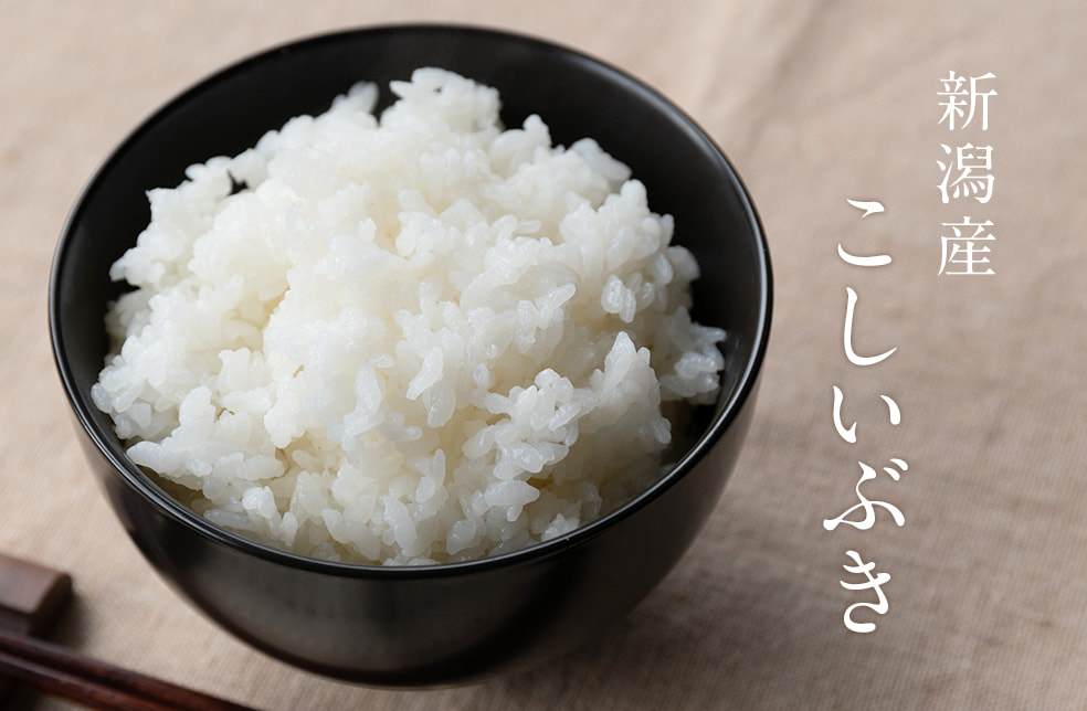 令和6年度米 新潟産こしいぶき