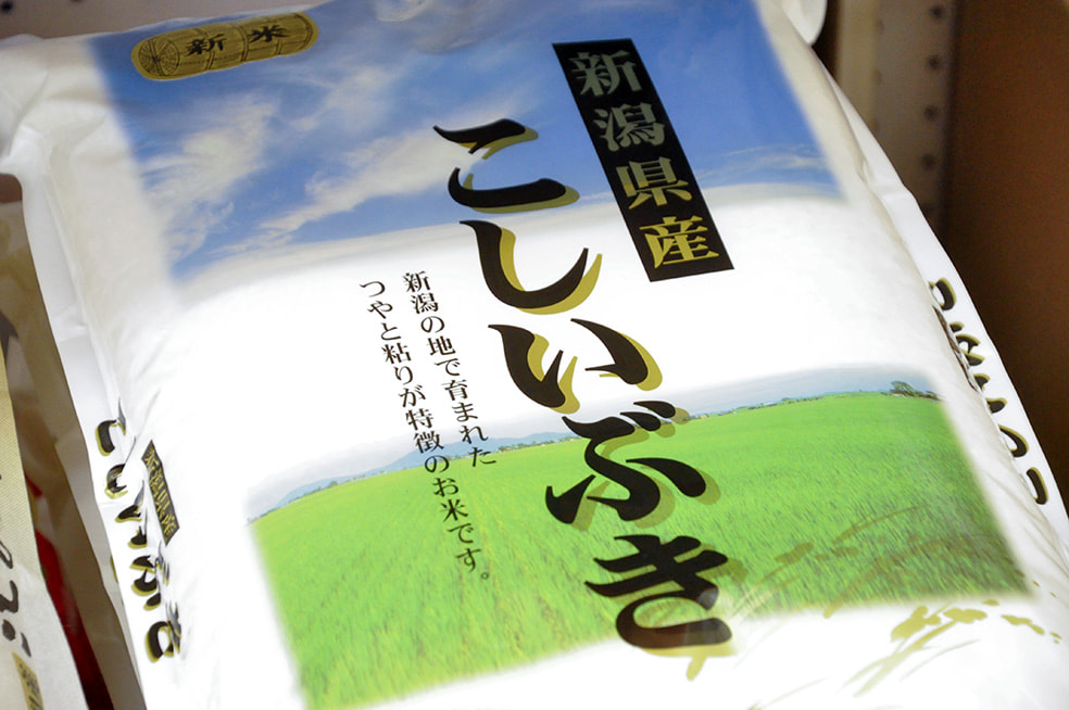 令和4年度米 新潟産こしいぶき