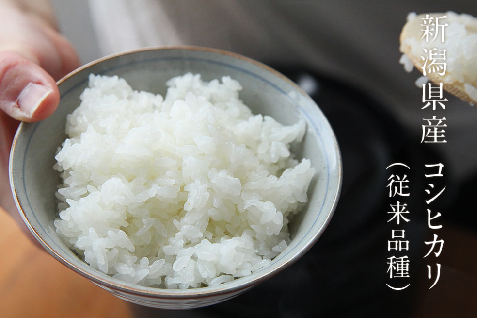 予約注文:令和7年度米 新潟産コシヒカリ(従来品種)