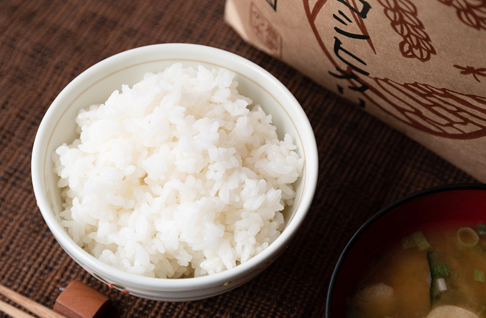 令和7年度米 魚沼産 棚田栽培コシヒカリ(特別栽培米)