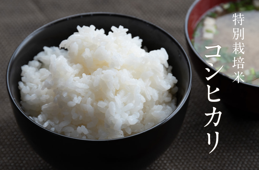 令和3年度米 新潟産コシヒカリ（特別栽培米）