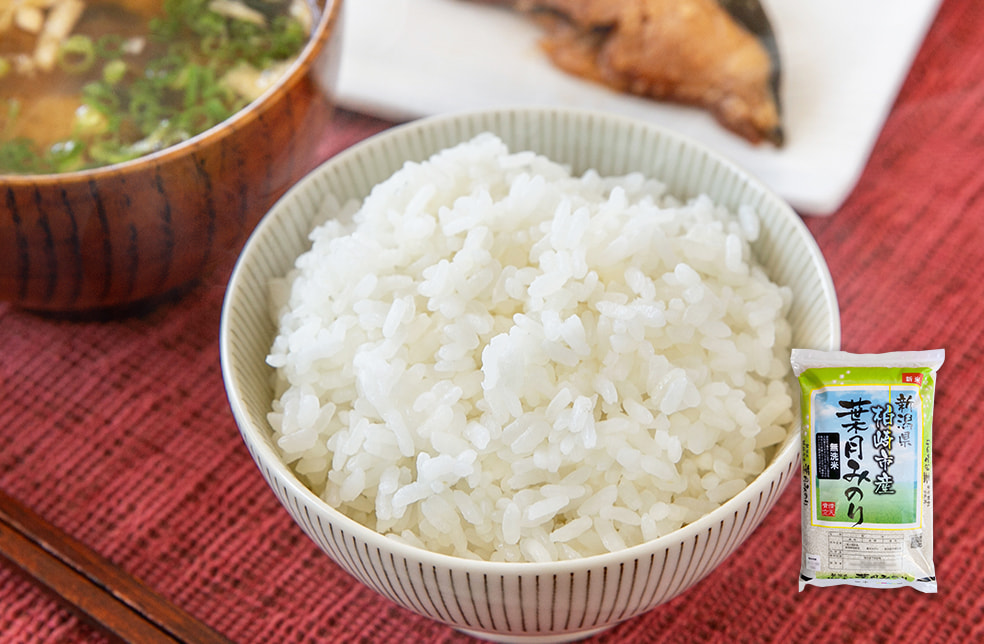 令和7年度米 新潟県産 葉月みのり(無洗米)