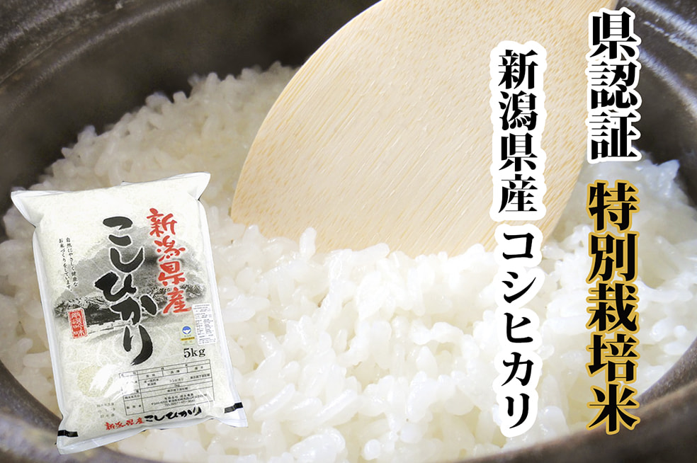 令和6年度米 新潟産コシヒカリ(特別栽培米)