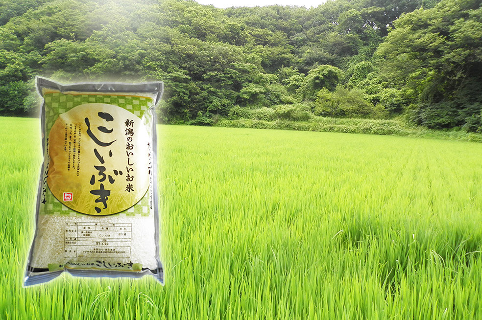 令和3年度米 新潟産こしいぶき（特別栽培米）