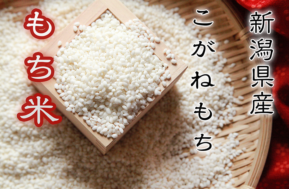 令和5年度米 新潟産こがねもち（もち米・特別栽培米）
