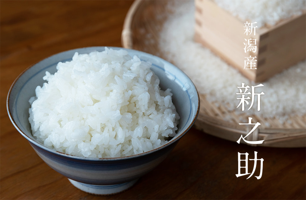 令和6年度米 新潟産新之助