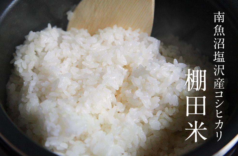 令和6年度米 南魚沼 塩沢産 棚田米 コシヒカリ(特別栽培米)