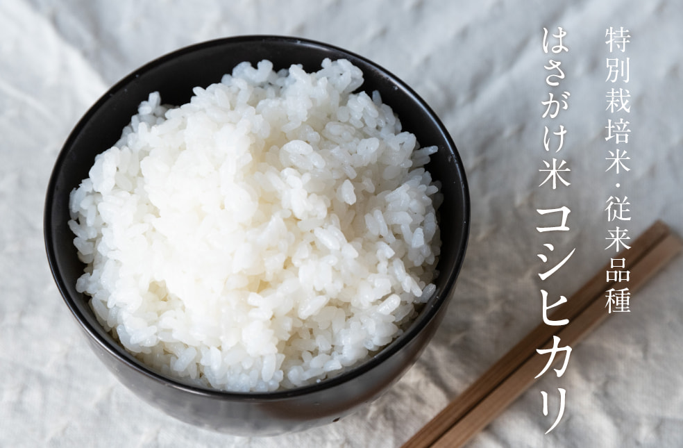 令和4度米 上越産 はさがけ米 コシヒカリ（特別栽培米・従来品種）