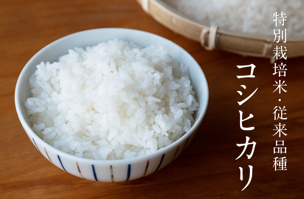 予約注文：令和5年度米 上越産 コシヒカリ（特別栽培米・従来品種）