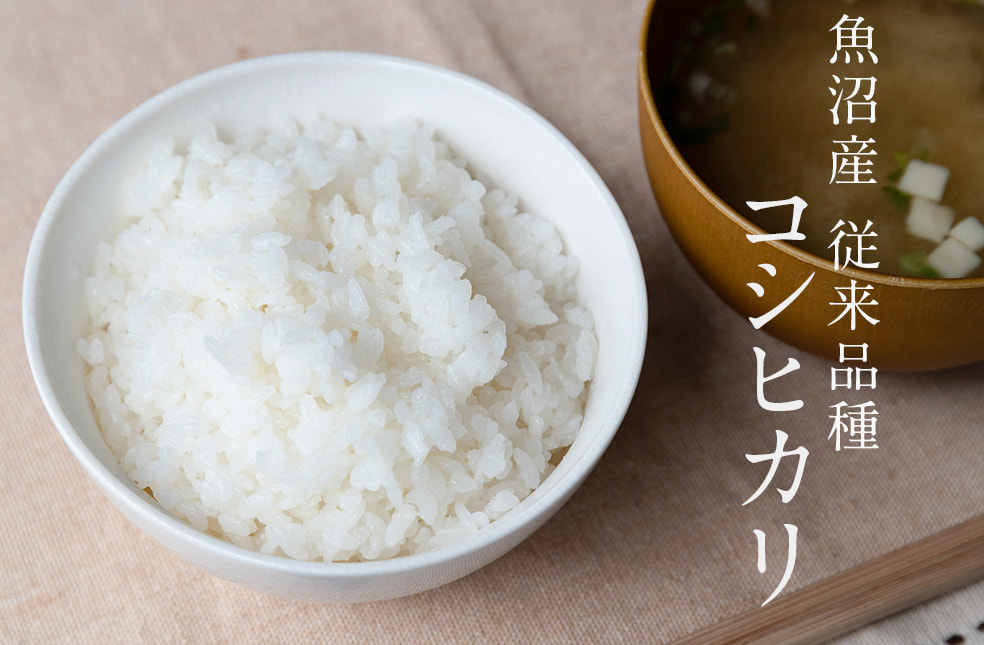 令和5年度米 魚沼産コシヒカリ(従来品種)
