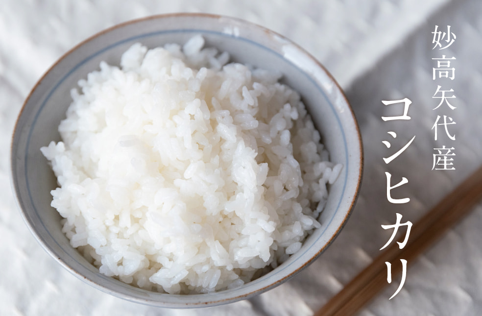 令和7年度米 妙高矢代産コシヒカリ