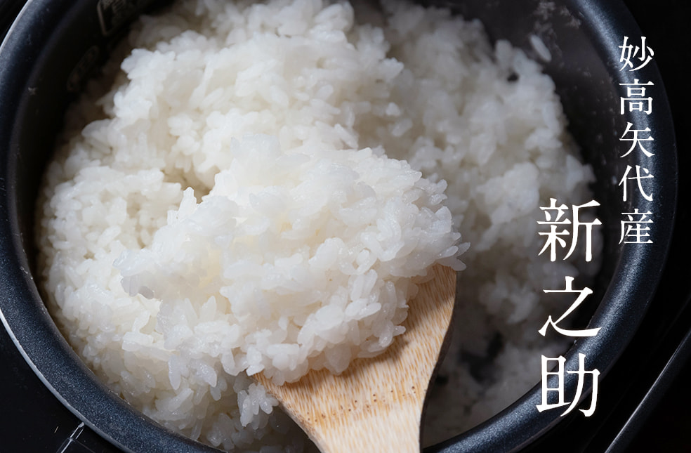 予約注文:令和7年度米 妙高矢代産 新之助
