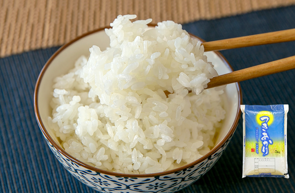 予約注文:令和7年度米 新潟県産つきあかり