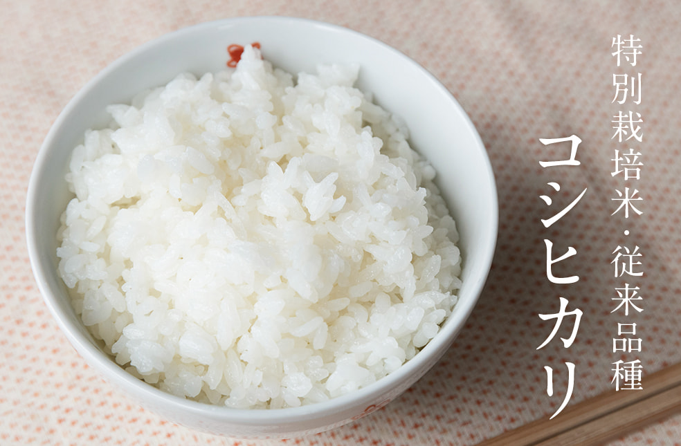 予約注文:令和7年度米 新潟産 コシヒカリ(特別栽培米・従来品種)