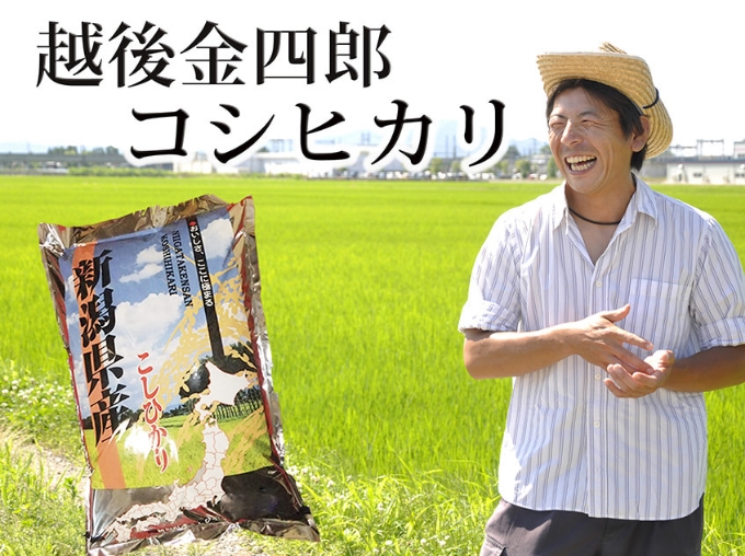 【第6位】新潟産 越後金四郎コシヒカリ（特別栽培米）｜株式会社 果香詩